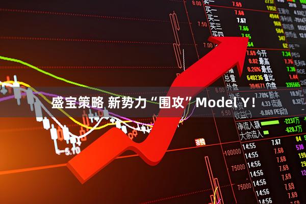 盛宝策略 新势力“围攻”Model Y！