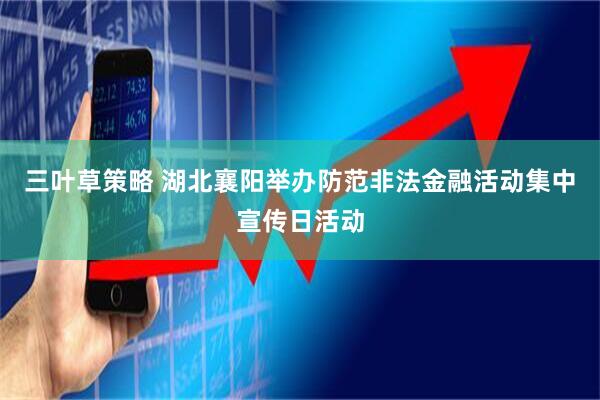 三叶草策略 湖北襄阳举办防范非法金融活动集中宣传日活动